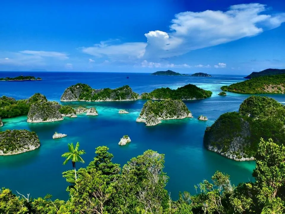 Eksplorasi Raja Ampat